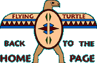 return to flying turtle home page