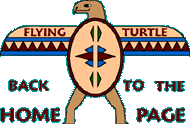 return to flying turtle home page